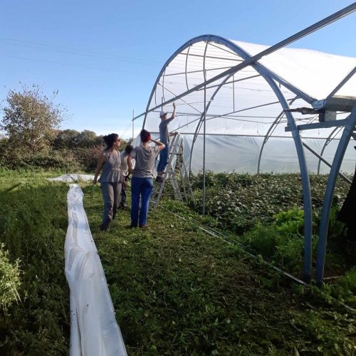 serre chantier agricole solidaire 3