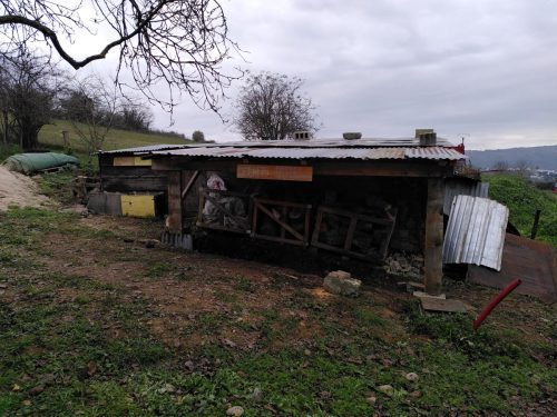 signal-2025-03-05-182111_002